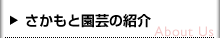 さかもと園芸の紹介