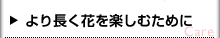 ご購入後のケアについて